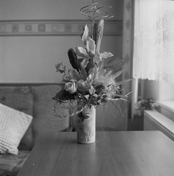 0003 Fujifilm